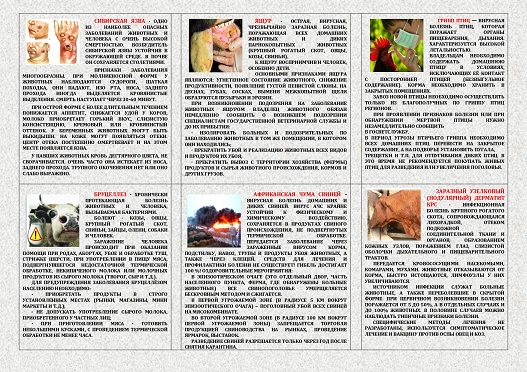 pub 2058274 page 0002