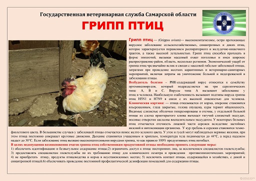 грипп птиц СВО