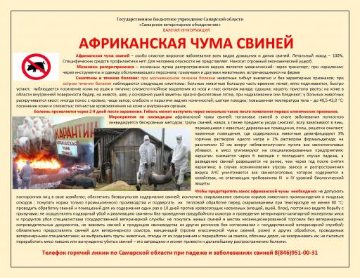 АЧС памятка