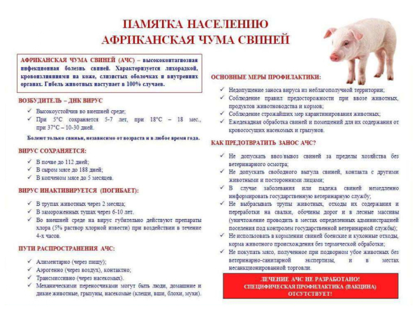 Памятка по АЧС