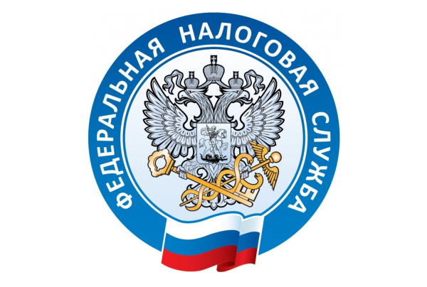 ЮЛ или ИП