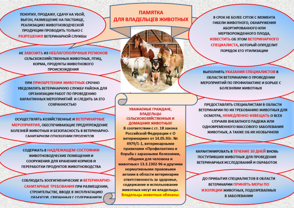 Памятка для владельцев животных