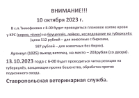 Взятие крови у КРС