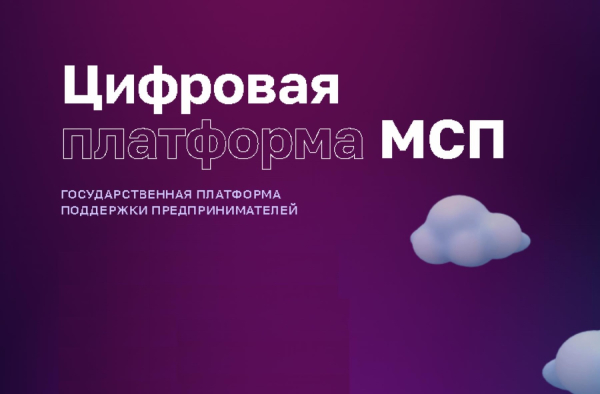 В Самарской области динамично растет число пользователей Цифровой платформы МСП.РФ