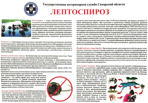 Памятки по болезням животных