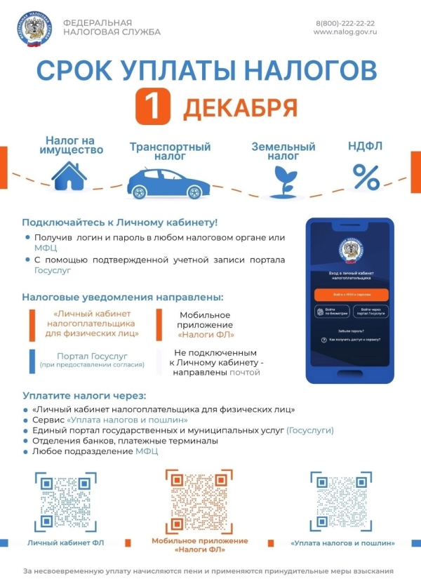 Срок уплаты налогов