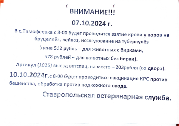 Объявление