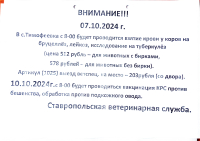 Объявление