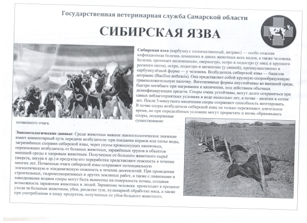 Памятка!Сибирская язва!