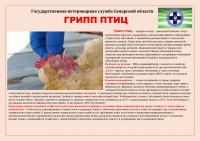 Внимание!