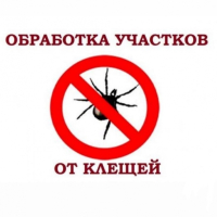 Объявление
