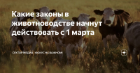 Россельхознадзор напоминает